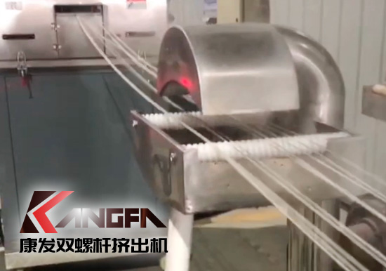 65高扭+PLC，尼龍加纖雙螺桿造粒機試機